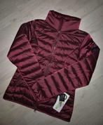 Equestrian stockholm bordeaux jas, Dressuur, Nieuw, Ophalen of Verzenden, Dames