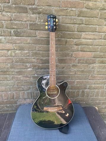 Richwood gitaar beschikbaar voor biedingen