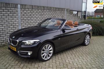 BMW 2-serie Cabrio 220i High Executive Autom Leder Sportst S beschikbaar voor biedingen