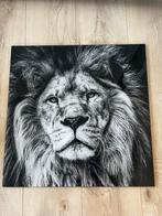 Te koop: 2 schilderijen, glas, 45x45, leeuw en luipaard, Ophalen of Verzenden