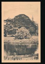 Leiden -Hortus Botanicus der Rijksuniversiteit [KRST009-3037, Verzamelen, Verzenden, 1940 tot 1960, Ongelopen, Zuid-Holland