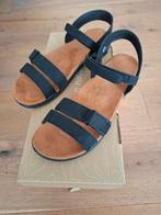 Leuke sandalen Human Nature 41 nieuw, Zwart, Nieuw, Human Nature, Sandalen of Muiltjes
