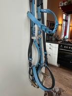 Endurance hoofdstel + martingal zgan, Dieren en Toebehoren, Ophalen of Verzenden, Zo goed als nieuw, Overige soorten