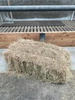 Mooie balen hooi, Dieren en Toebehoren, Dierenvoeding, Ophalen of Verzenden, Vee
