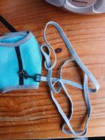 Cavia (uitlaat)tuigje, Dieren en Toebehoren, Ophalen, Nieuw