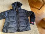 Tommy Hilfiger meisjes winterjas, Ophalen, Meisje, Jas, Tommy Hilfiger