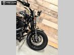 HARLEY-DAVIDSON CUSTOM CROSS BONES FLSTSB Springer UNIEK!, 2 cilinders, Bedrijf, Meer dan 35 kW, Overig
