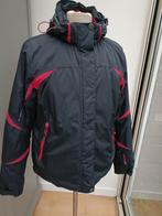 Ski jas Falcon, Kleding | Dames, Wintersportkleding, Falcon, Maat 46/48 (XL) of groter, Ophalen of Verzenden, Zo goed als nieuw