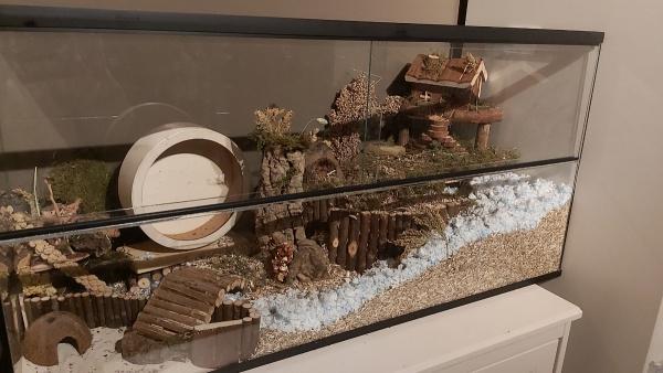 Hamsterscaping hamsterkooi van glas met schuifruiten, Dieren en Toebehoren, Knaagdieren en Konijnen | Hokken en Kooien, Nieuw