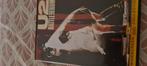 U2- Rattle And Hum, Cd's en Dvd's, Alle leeftijden, Ophalen of Verzenden, Zo goed als nieuw