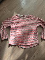 Truitje maat 140, Ophalen of Verzenden, Gebruikt, Meisje, Shirt of Longsleeve