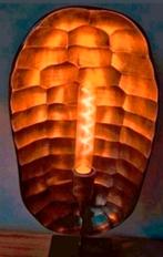 2 lampen nieuw 55 cm hoog schildpad lamp bronskleurig
2stuks, Huis en Inrichting, Lampen | Tafellampen, Ophalen of Verzenden, Nieuw