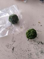 Leuke ronde boompjes HO, Ophalen of Verzenden, Groter dan 1:32