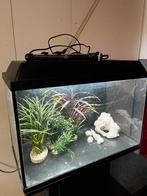 Net aquarium te koop, Dieren en Toebehoren, Ophalen, Zo goed als nieuw, Leeg aquarium