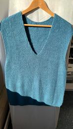 10%wool knit oversized sweater vest, Kleding | Dames, Tops, Ophalen of Verzenden, Zo goed als nieuw