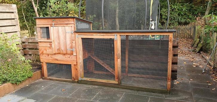 Zeer robuust douglas kippenhok, Dieren en Toebehoren, Pluimvee | Toebehoren, Zo goed als nieuw, Kippenhok of Kippenren, Ophalen