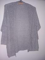licht grijs knooploos vest   Mango maat M, Maat 38/40 (M), Mango, Nieuw, Ophalen of Verzenden