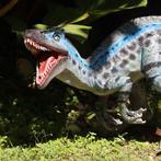 Velociraptor – Razor Beaks Lengte 127 cm Gell Coated, Ophalen, Nieuw
