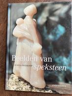 Boeken beeldhouwen, Ophalen of Verzenden, Zo goed als nieuw, Beeldhouwkunst