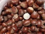 Kastanjes (eetbaar), Diversen, Levensmiddelen, Ophalen