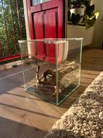 NanoCube aquarium Dennerle, Dieren en Toebehoren, Vissen | Aquaria en Toebehoren, Ophalen of Verzenden, Zo goed als nieuw, Leeg aquarium