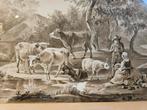 Antieke tekening met landschap en vee, 56x45 cm, Ophalen of Verzenden