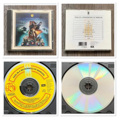 Fish: Virgil In A Wilderness of Mirrors, Cd's en Dvd's, Cd's | Rock, Ophalen of Verzenden