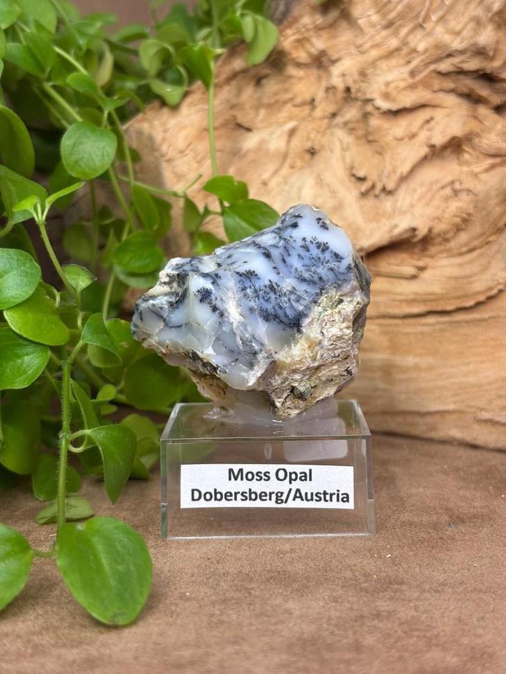 Moss Opal, Verzamelen, Mineralen en Fossielen, Mineraal, Ophalen of Verzenden