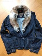 Esprit jeans jasje, maat 36 met afneembare kraag, Nieuw, Blauw, Esprit, W28 - W29 (confectie 36)