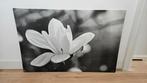 Canvas fotodoek magnolia, Huis en Inrichting, Woonaccessoires | Schilderijen, Tekeningen en Foto's, Ophalen, Zo goed als nieuw