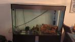 Axolotl met groot aqarium, Dieren en Toebehoren, Reptielen en Amfibieën | Toebehoren, Ophalen, Zo goed als nieuw