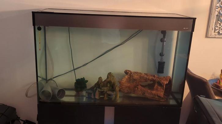 Axolotl met groot aqarium, Dieren en Toebehoren, Reptielen en Amfibieën | Toebehoren, Zo goed als nieuw, Ophalen