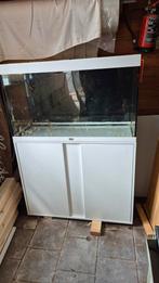 Prachtig aquarium 100 cm zgan, Ophalen, Zo goed als nieuw, Leeg aquarium