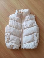 Bodywarmer dames maat xs valt als 36/38, Maat 34 (XS) of kleiner, Ophalen of Verzenden, Zo goed als nieuw