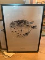 My deer art shop Pufferfish, Huis en Inrichting, Woonaccessoires | Lijsten, Ophalen, Zo goed als nieuw, Hout, 50 tot 75 cm