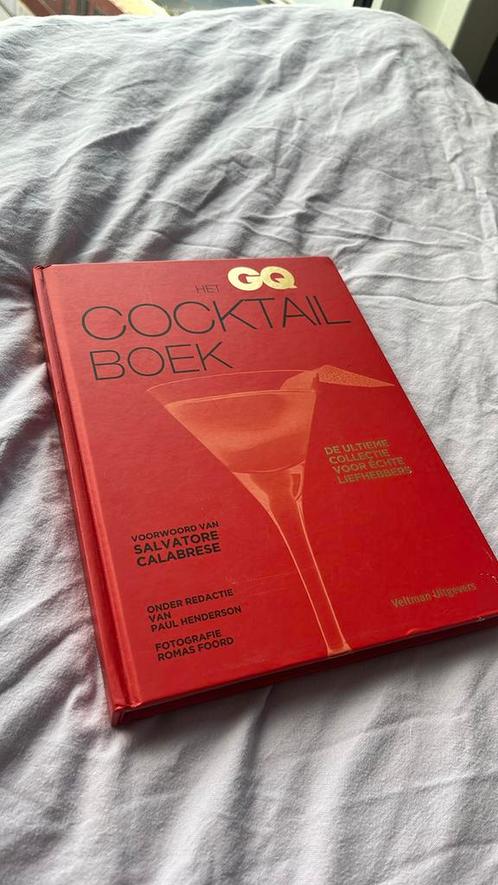 Het GQ cocktailboek, Boeken, Kookboeken, Zo goed als nieuw, Ophalen of Verzenden
