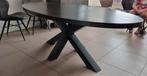 Ovale tafel, Huis en Inrichting, Tafels | Eettafels, Ophalen, Ovaal, 200 cm of meer, 100 tot 150 cm