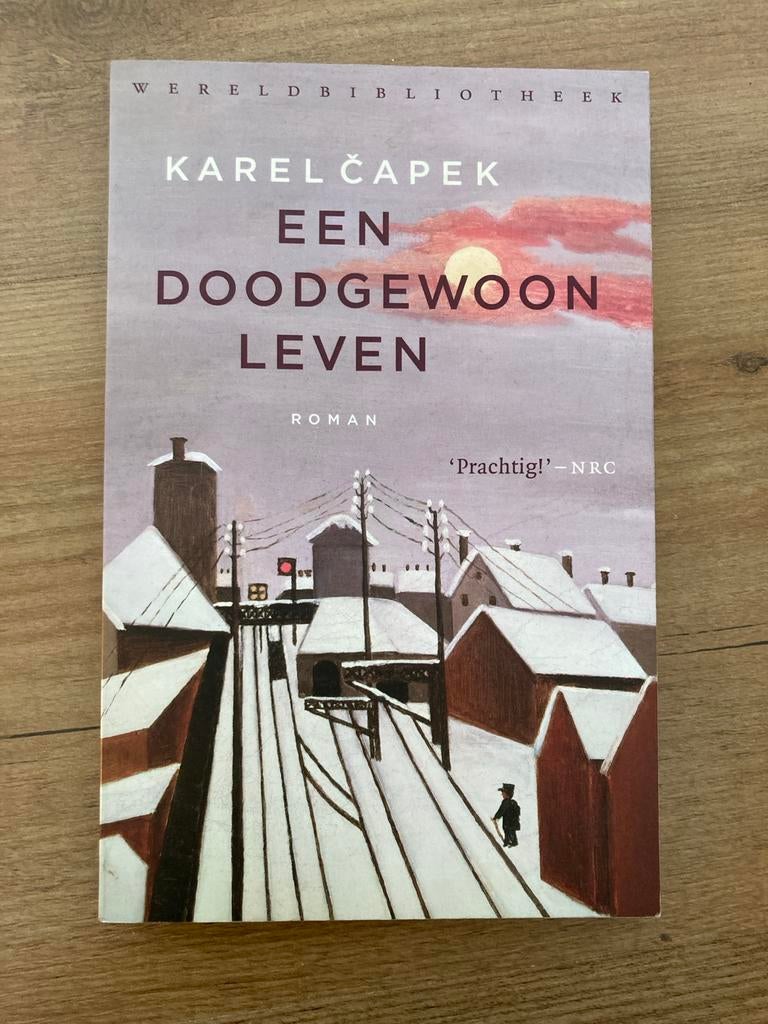 Een doodgewoon leven - Karel Čapek, Ophalen, Zo goed als nieuw, Nederland