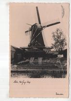 Zaandam Molen  Het Jonge Schaap, Verzenden, 1920 tot 1940, Gelopen, Noord-Holland