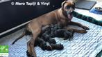 Gaat u hond bevallen, en de vloer moet beschermd worden, Nieuw, Ophalen of Verzenden, Zie ad, Info@mevoshop.nl
