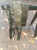 Longeersingel met bijzetteugels full, Dieren en Toebehoren, Ophalen, Zo goed als nieuw, Overige soorten