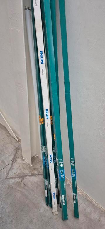 TL buizen GRATIS Philips warm wit, 1.50m & 1.20m beschikbaar voor biedingen