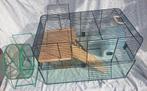 Glazen hamsterkooi of muizenkooi, Dieren en Toebehoren, Kooi, Gebruikt, Minder dan 75 cm, Hamster