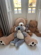 Gratis Beren Ophalen voor Goed Doel!, Kinderen en Baby's, Speelgoed | Knuffels en Pluche, Ophalen, Gebruikt, Beer