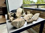 Zeldzame/premium aquarium Blue Fin Stone, Dieren en Toebehoren, Ophalen, Gebruikt, Plant(en), Steen of Hout