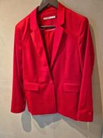 Steps blazer, maat 42, Kleding | Dames, Maat 42/44 (L), Ophalen of Verzenden, Zo goed als nieuw, Steps