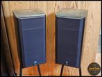 B&W Vision V202, Audio, Tv en Foto, Luidsprekers, Gebruikt, ., Ophalen of Verzenden, Minder dan 60 watt