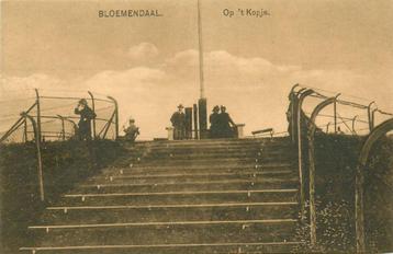 (388-081-001) Bloemendaal Op t Kopje beschikbaar voor biedingen