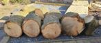 boomstammen 60cm doorsnee, 40-77cm hoog kastanje. kachelhout, Tuin en Terras, Haardhout, Minder dan 3 m³, Ophalen, Overige houtsoorten