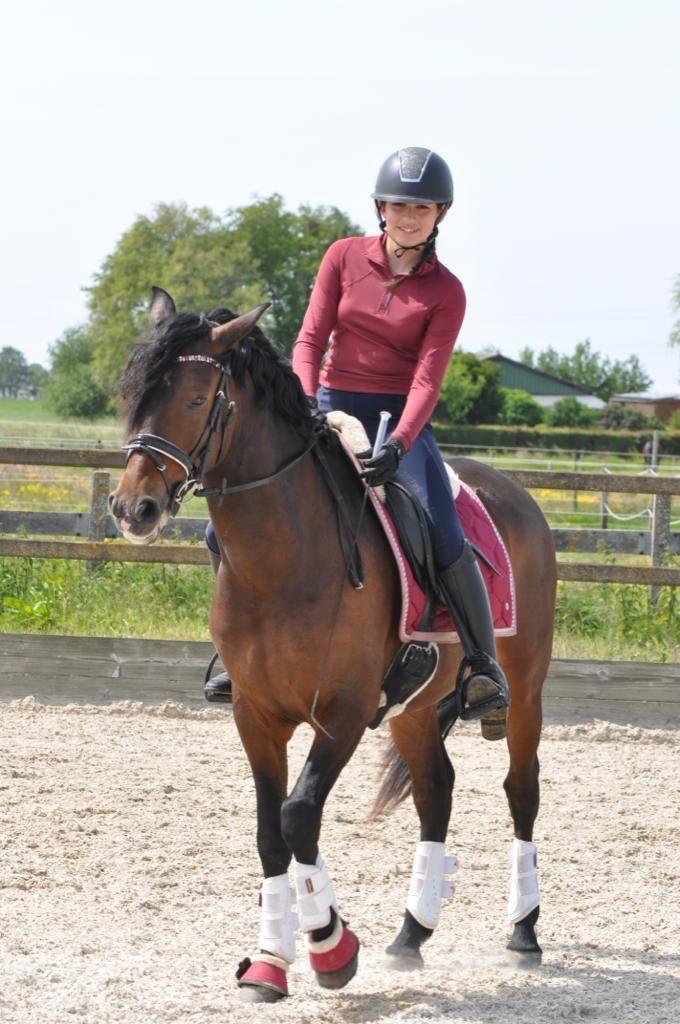 D pony te koop, Dieren en Toebehoren, Pony's, Ruin, L, D pony (1.37m tot 1.48m), Recreatiepony, 11 jaar of ouder